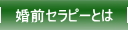 婚前セラピーとは