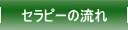 セラピーの流れ